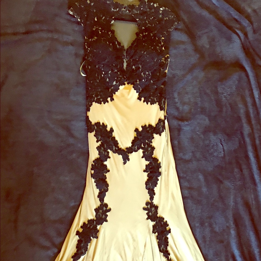 Special occasion fitted dress- tan and black